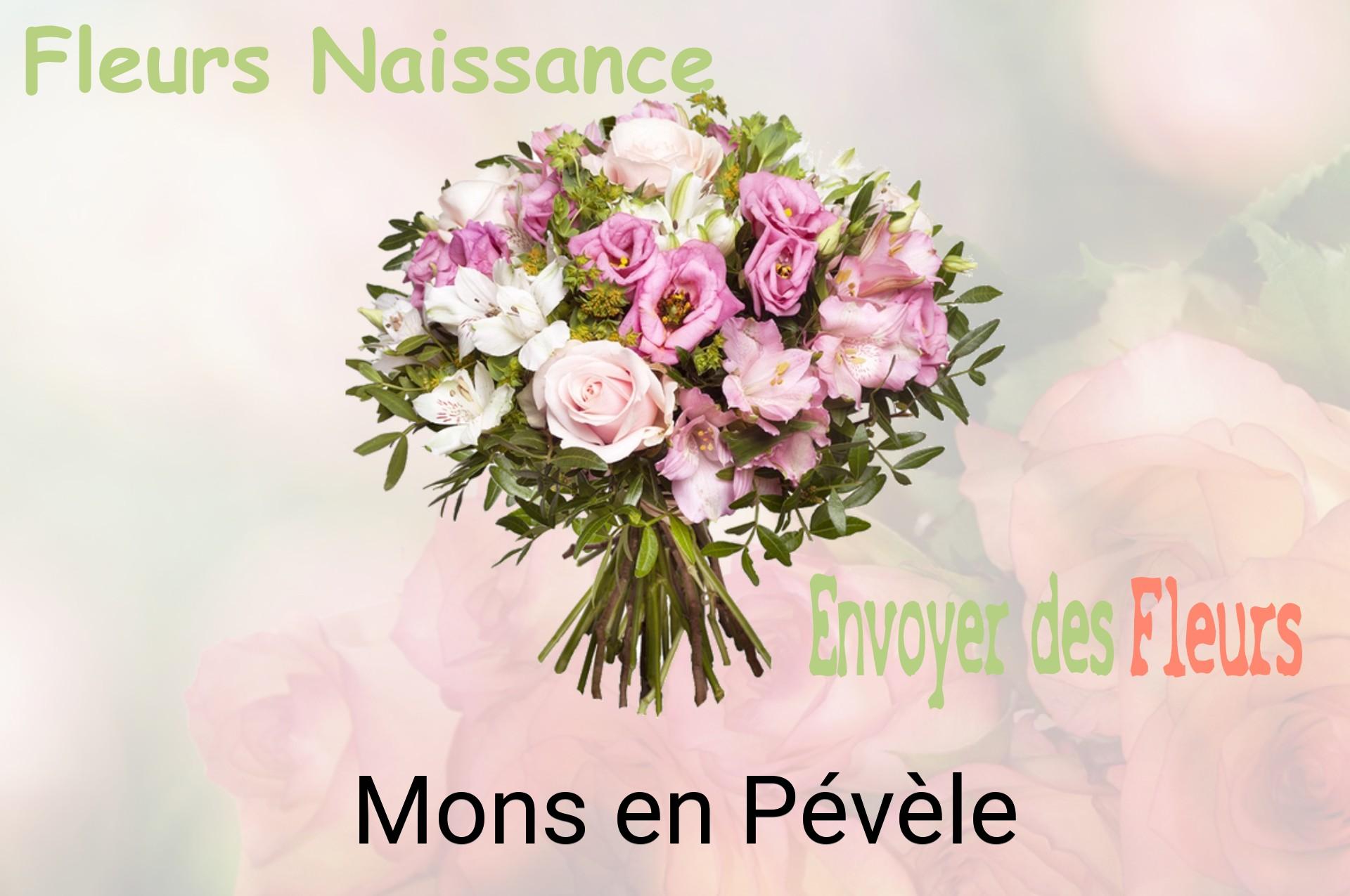 Bouquet de fleurs de naissance livré à Mons-en-Pévèle